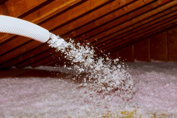 Best Insulation Removal  in Cleveland, NC